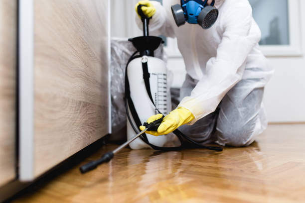 Best Pest Removal Services  in Beverly Hills, MI