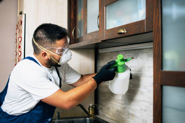 Best Affordable Pest Control Services  in Beverly Hills, MI