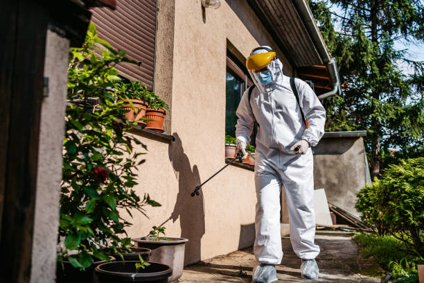 Reliable Beverly Hills, MI Pest Control Solutions