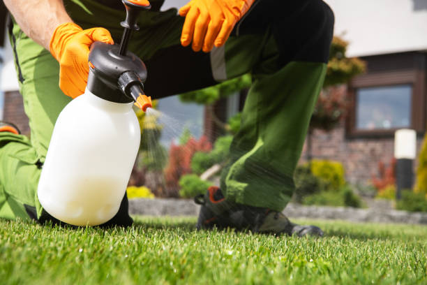 Best Mosquito Control Services  in Beverly Hills, MI