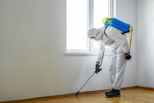 Best Exterminator Services  in Beverly Hills, MI