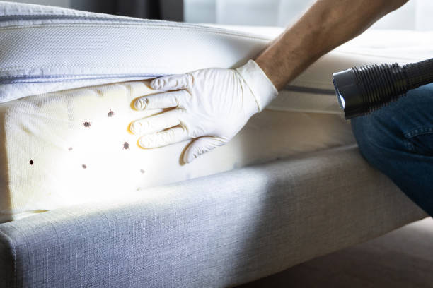 Best Best Pest Control Companies  in Beverly Hills, MI
