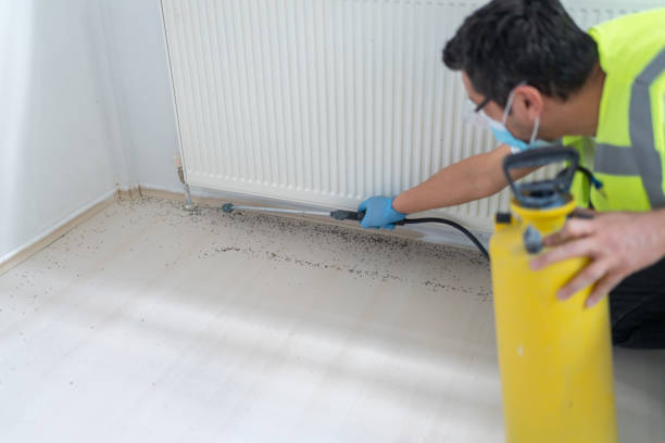 Wasp Removal Services in Beverly Hills, MI