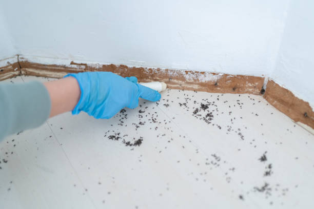 Best Wildlife Control Services  in Beverly Hills, MI