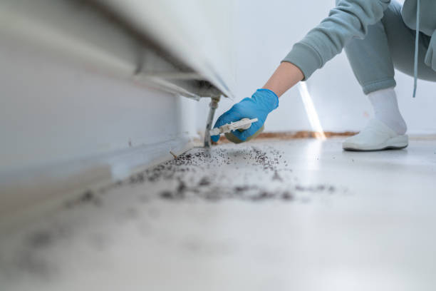 Best Pest Prevention Services  in Beverly Hills, MI